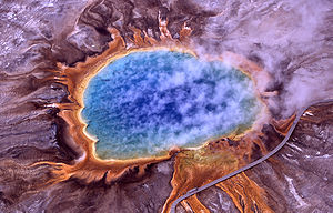 An Extremophile in Yellowstone National Park